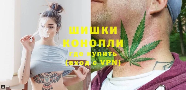 ПСИЛОЦИБИНОВЫЕ ГРИБЫ Алзамай