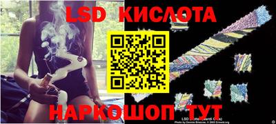 прущие крисы Будённовск