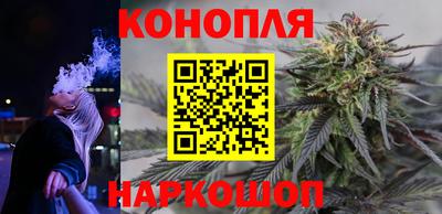 прущие крисы Будённовск
