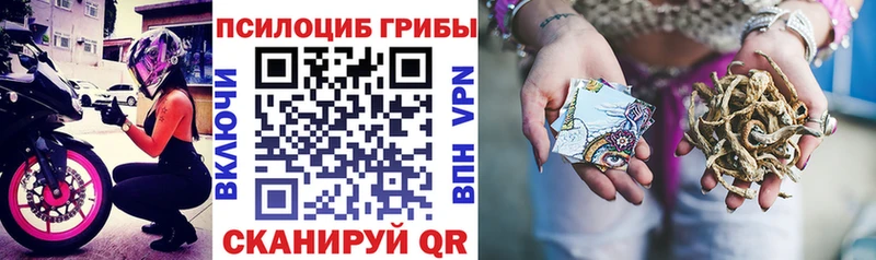 где найти наркотики  Джанкой  Галлюциногенные грибы MAGIC MUSHROOMS 