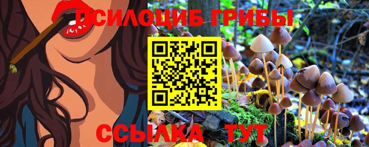 Псилоцибиновые грибы Psilocybe  Вход с VPN  Джанкой  Псилоцибиновые грибы GOLDEN TEACHER 
